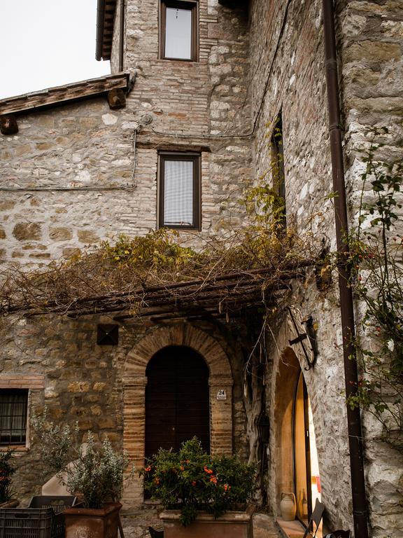 Torre Valbiancara Pensionat Montebagnolo Eksteriør billede